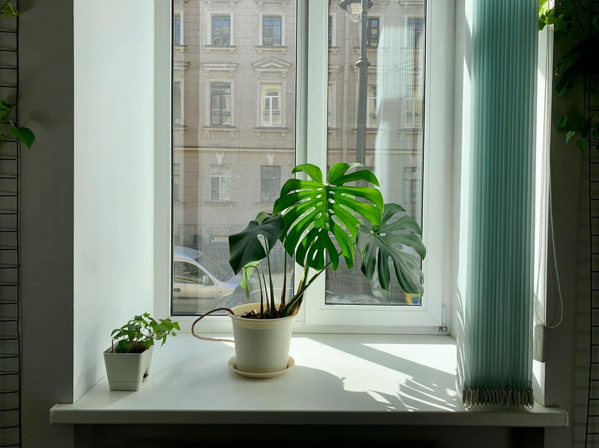 Top 5 Air Purifiers for Large Rooms: How Many Do You Need?