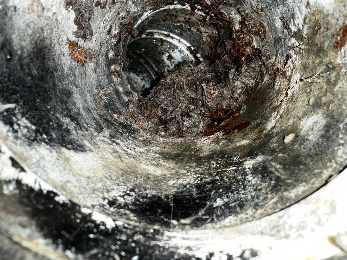 Wet Dryer Vent ā Why Does My Dryer Smell Bad? | Vent Busters