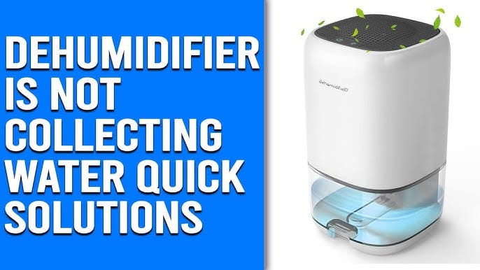 Dehumidifier is Not Collecting Water ā Reasons and Quick Solutions