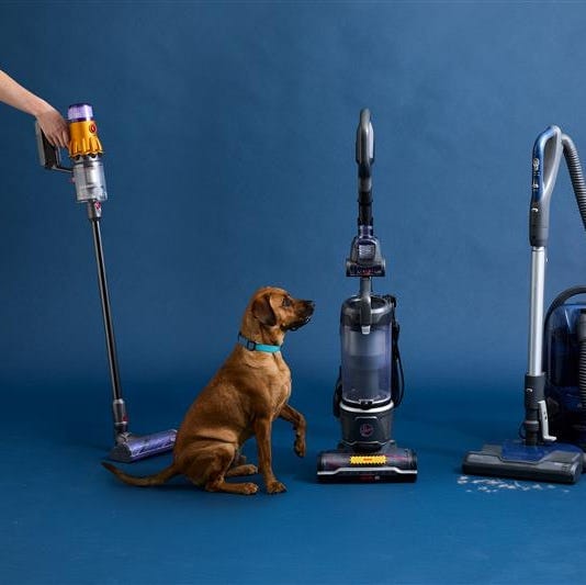 9 Best Vacuums for Pet Hair of 2026, Tested by Cleaning Pros