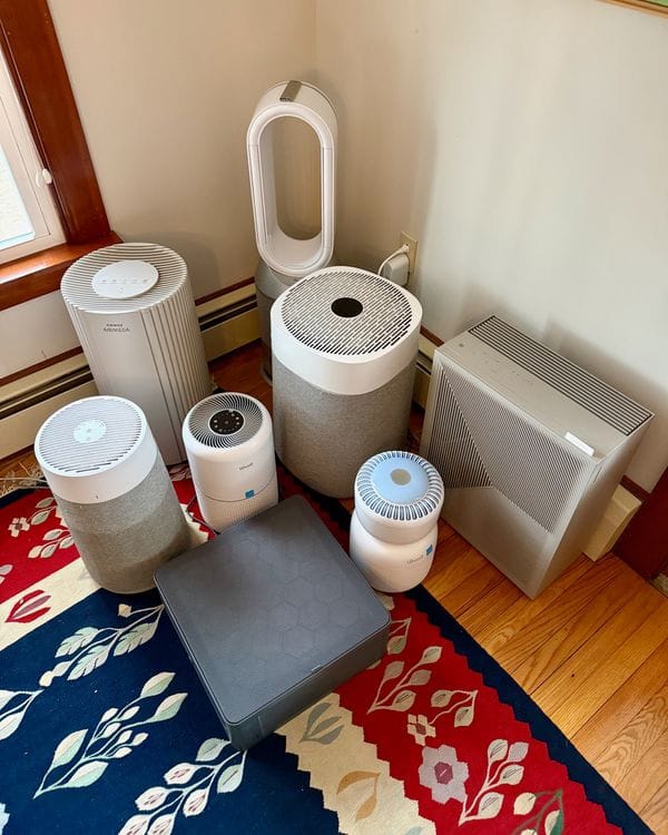 The 9 Best Air Purifiers | The Strategist